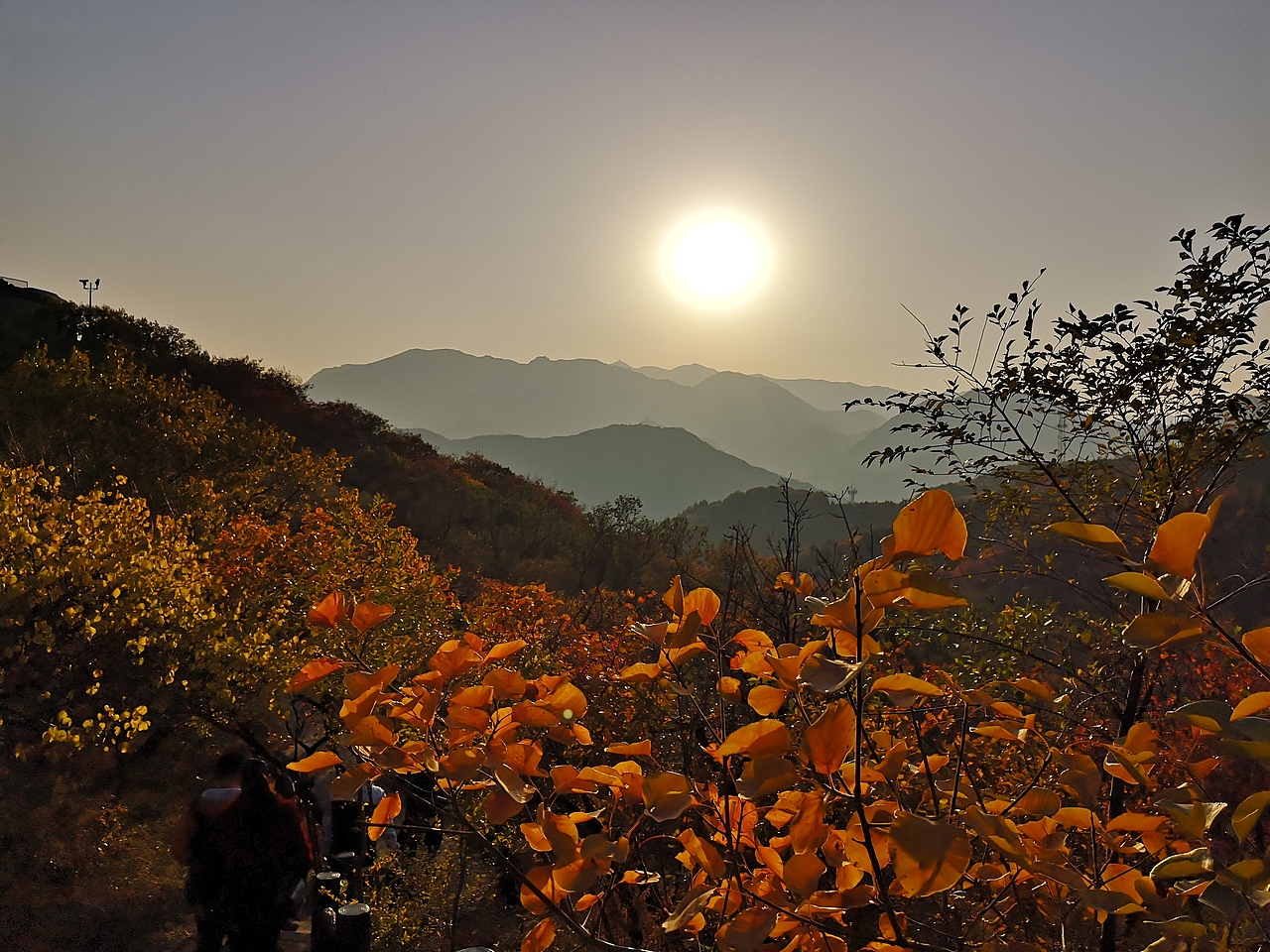漫山红遍（图ZMTgyMzQxMTEy） - 风光摄影 - 站酷设计师小甜甜七里香原创素材 - 站酷ZCOOL