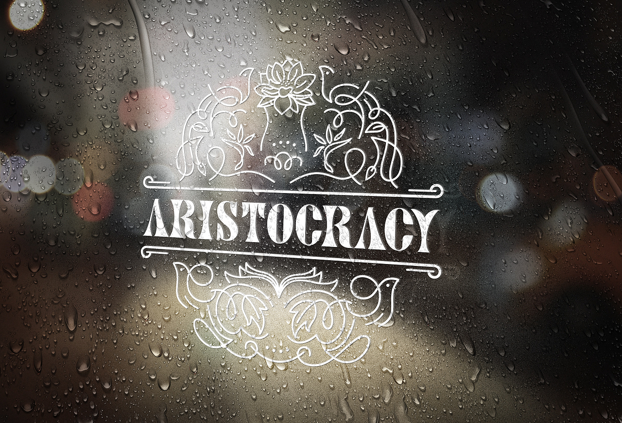 点一案例 | ARISTOCRACY 高端私人美容连锁品牌设计(图ZMTgzNjAxODU2) - 品牌 - 站酷设计师点一品牌设计原创素材 - 站酷ZCOOL