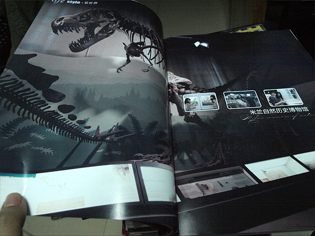 OPPO杂志(0990 新宠)