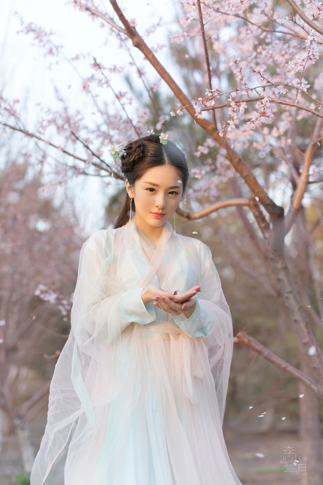 三生三世十里桃花