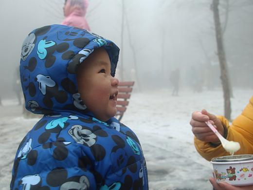 治愈心灵的瞬间