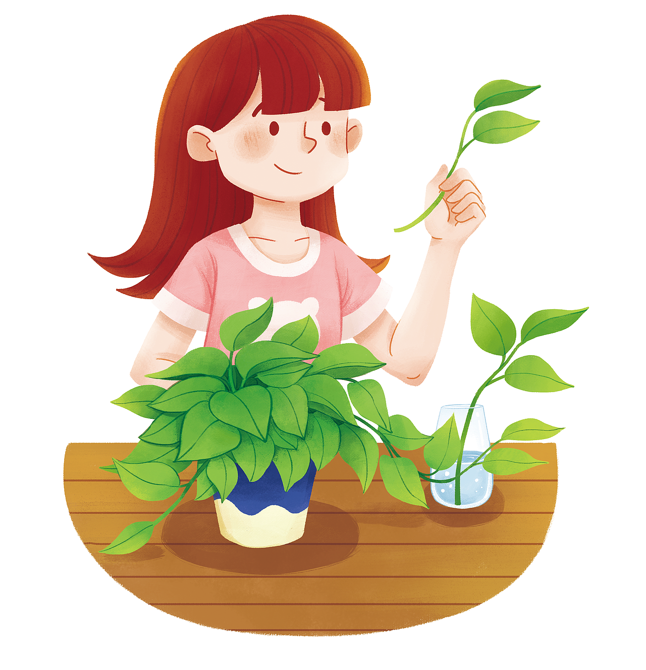 绿萝真的好饲养 br>你们的身边是不是有些养花达人?