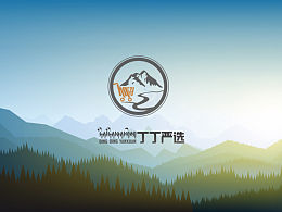 【ཏིན་ཏིན་ནན་འདེམ】丁丁严选logo设计