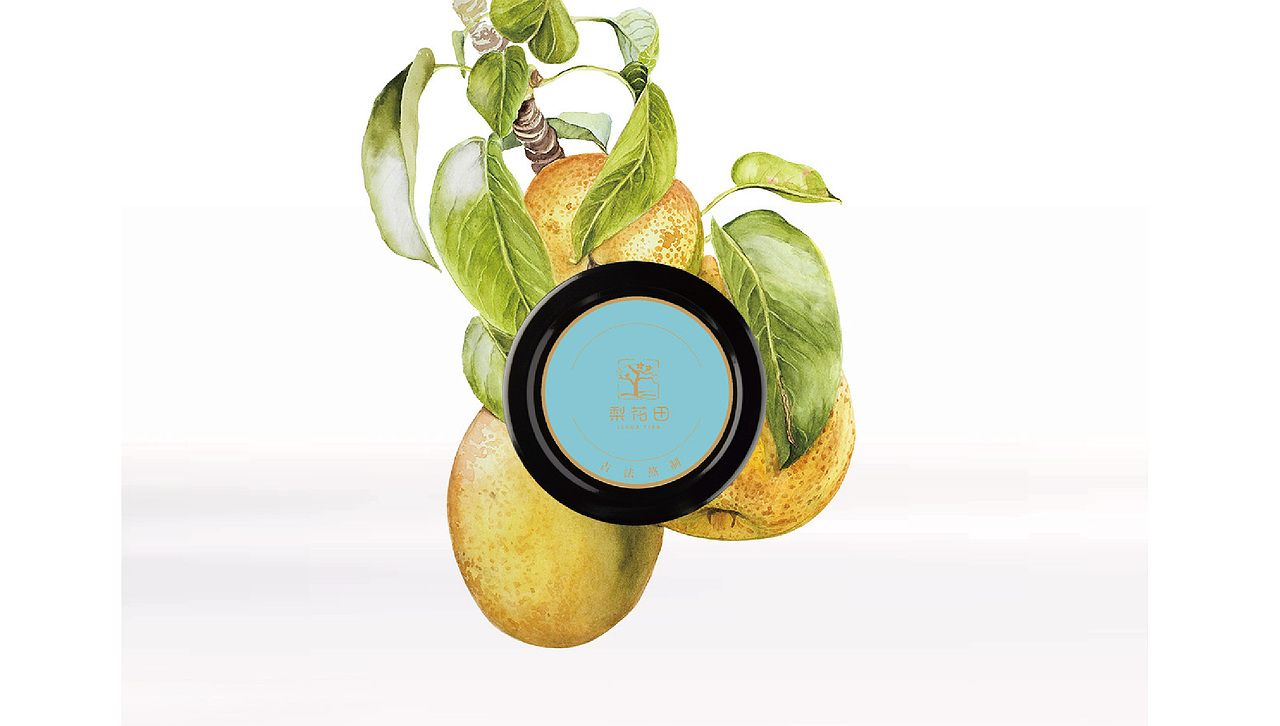 梨膏LOGO+包装设计（图ZMTIyNzU4MjI4） - 包装 - 站酷设计师王萍CY原创素材 - 站酷ZCOOL