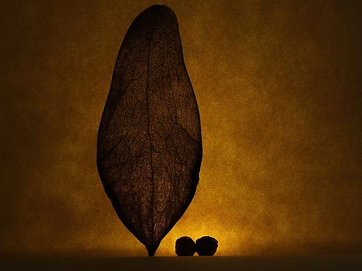 守偎（個人主頁-ZMzUyMjEyNzI=） - 品牌 - 站酷設(shè)計師怪人you原創(chuàng)素材 - 站酷ZCOOL