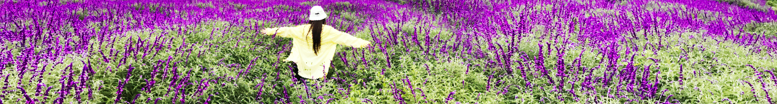 Yu姑姑的个人主页（封面预览） - 主页封面设置 - 站酷设计师Yu姑姑原创素材 - 站酷ZCOOL