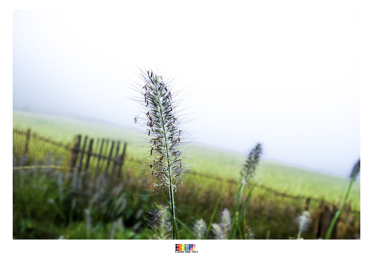 老家—江西万载县