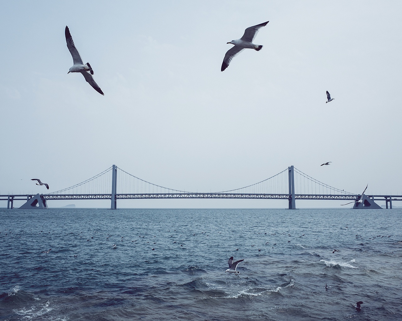 风景（图ZOTQ0MjM2ODQ=） - 风光摄影 - 站酷设计师姚澈Cheyo原创素材 - 站酷ZCOOL