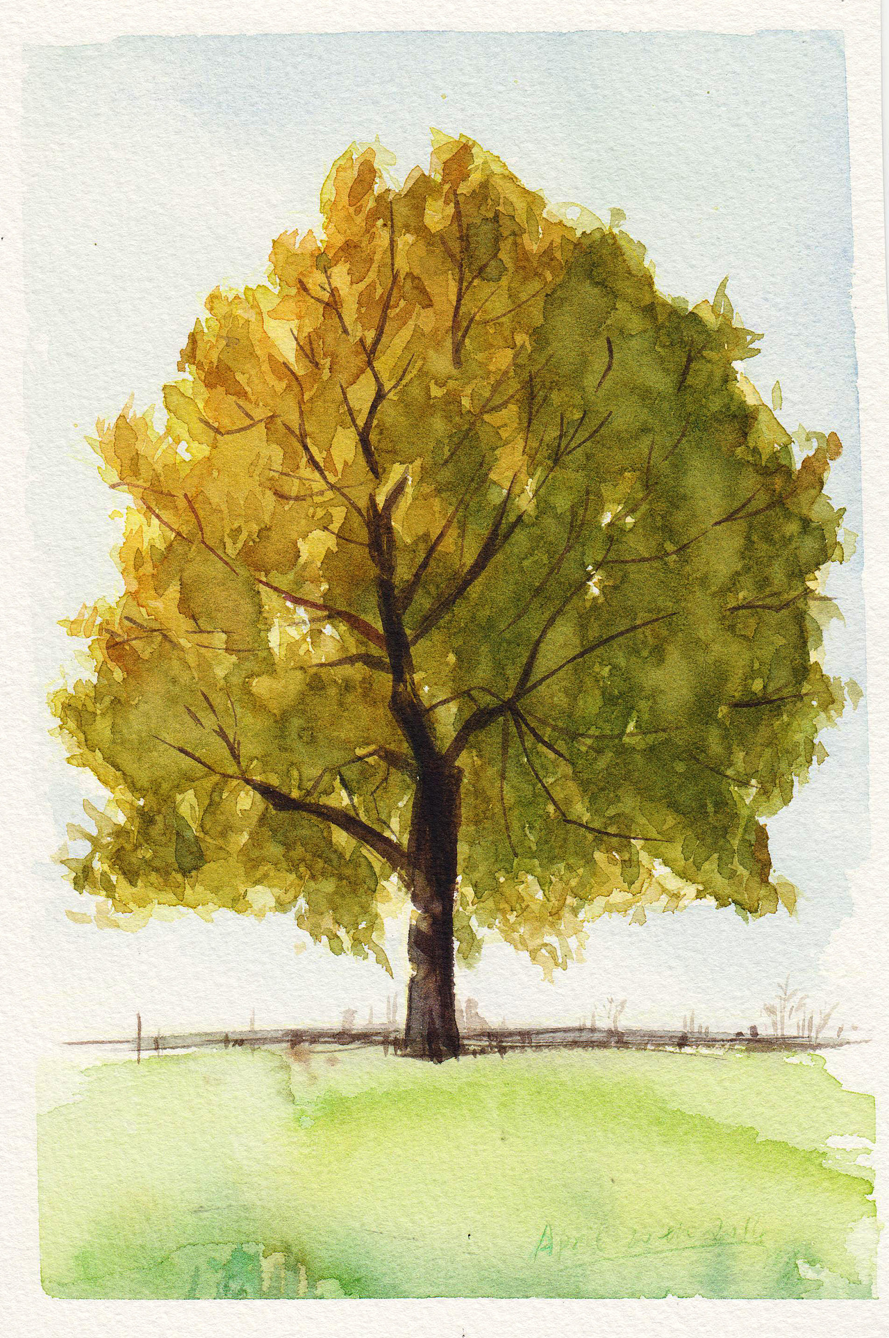 水彩练习——风景1|纯艺术|绘画|ccsttail - 原创作品 - 站酷 (zcool)