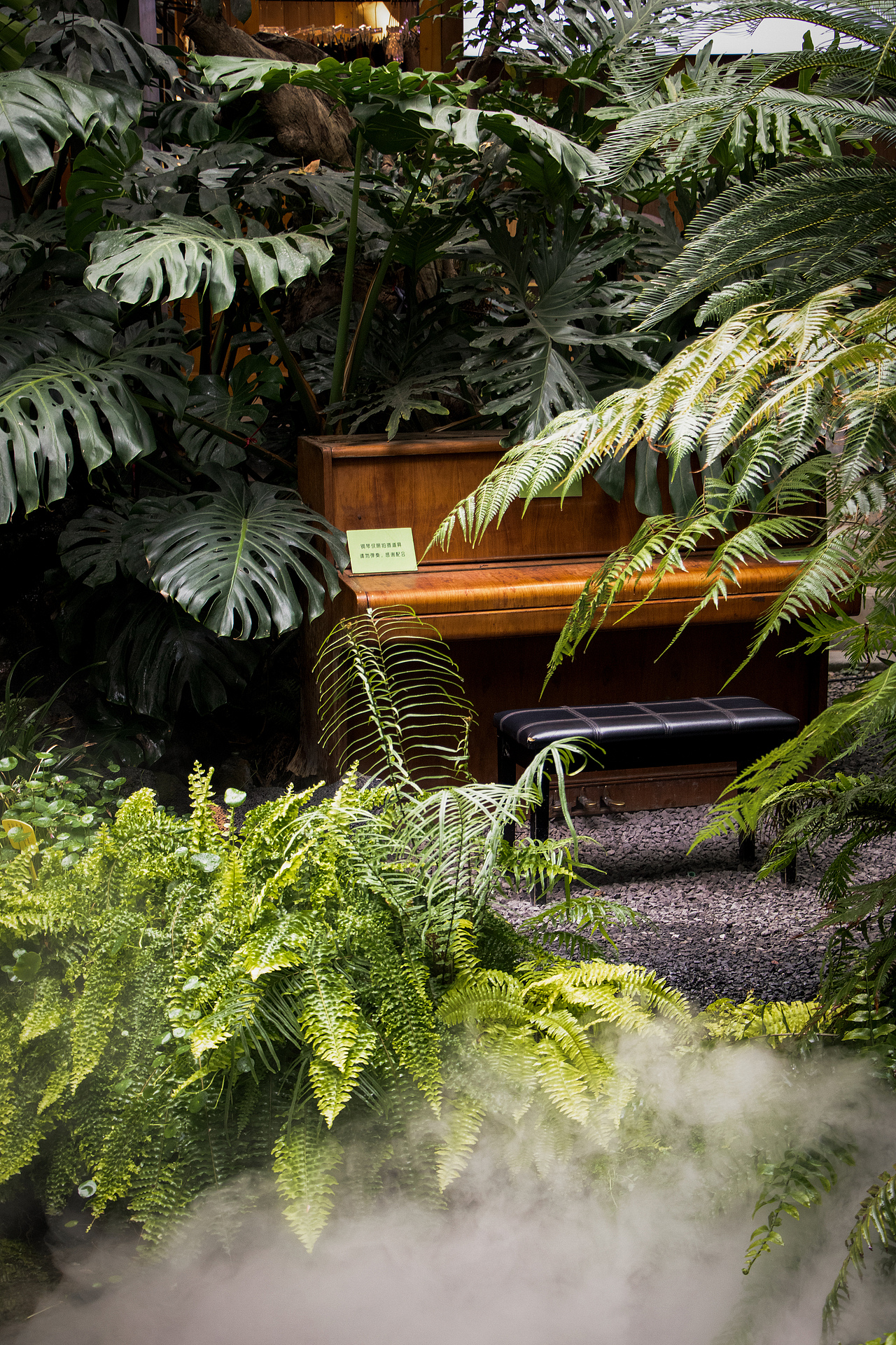 厦门｜“可能是一些小确幸”（图ZMzY2MDMyNDQw） - 人文/纪实摄影 - 站酷设计师梁酷酷原创素材 - 站酷ZCOOL