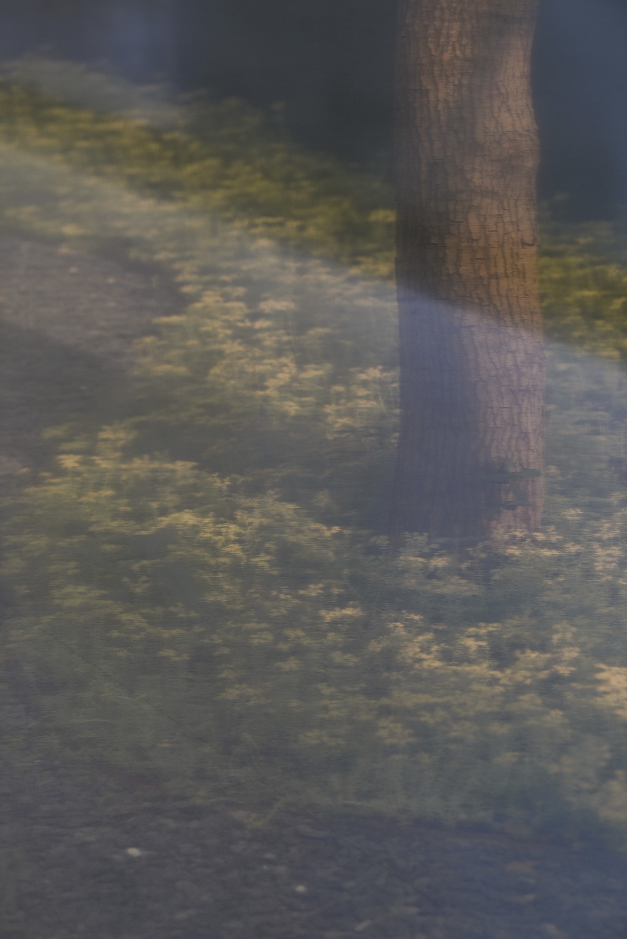 伯立森景观作品-广州奥园·合汇悦城--南壆村