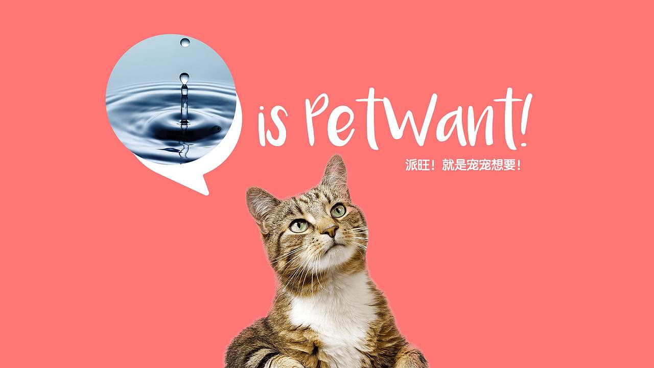 PetWant派旺|鲜活有爱的智宠品牌
