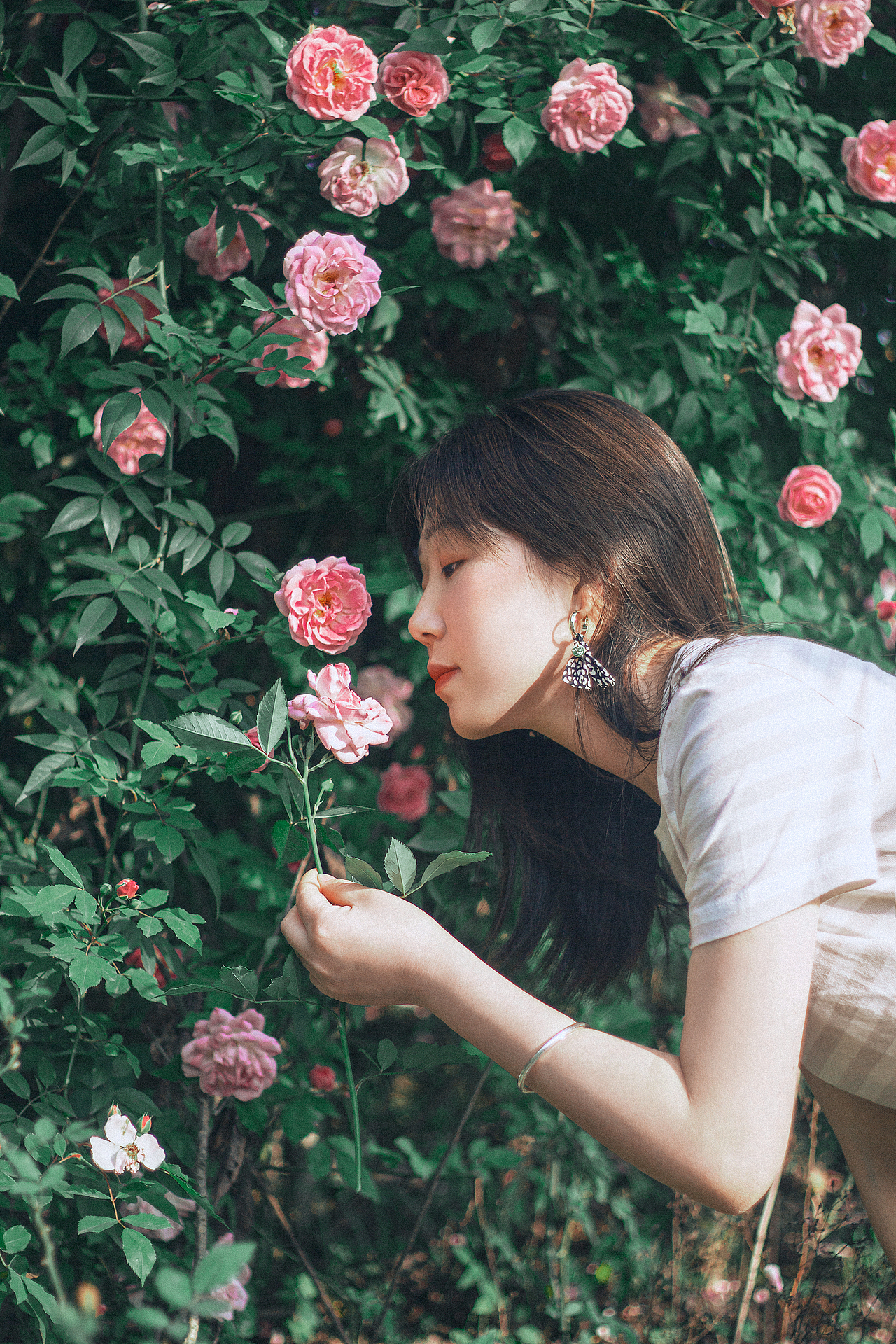 路边花墙的美丽情书