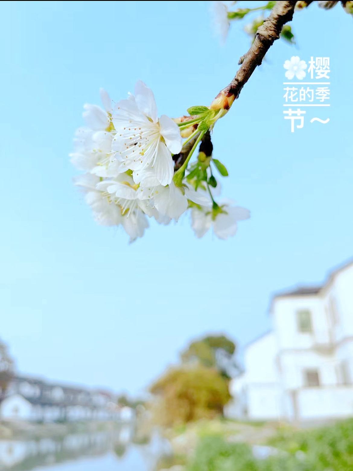 手机摄影 一片静心之地~（图ZMzM3NTk0MzE2） - 风光摄影 - 站酷设计师小小鸟不想飞原创素材 - 站酷ZCOOL