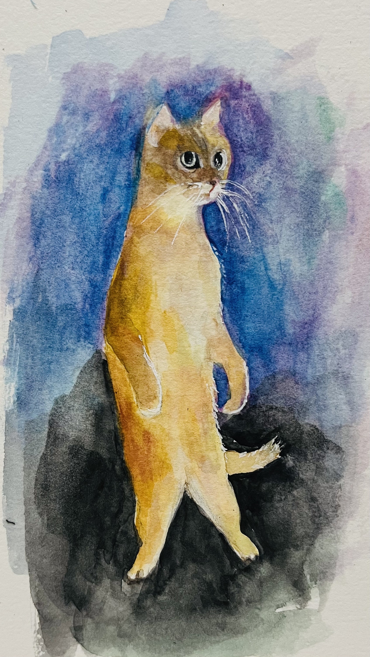 水彩作品（图ZMzE2MTEzNzE2） - 艺术插画 - 站酷设计师普雅花原创素材 - 站酷ZCOOL