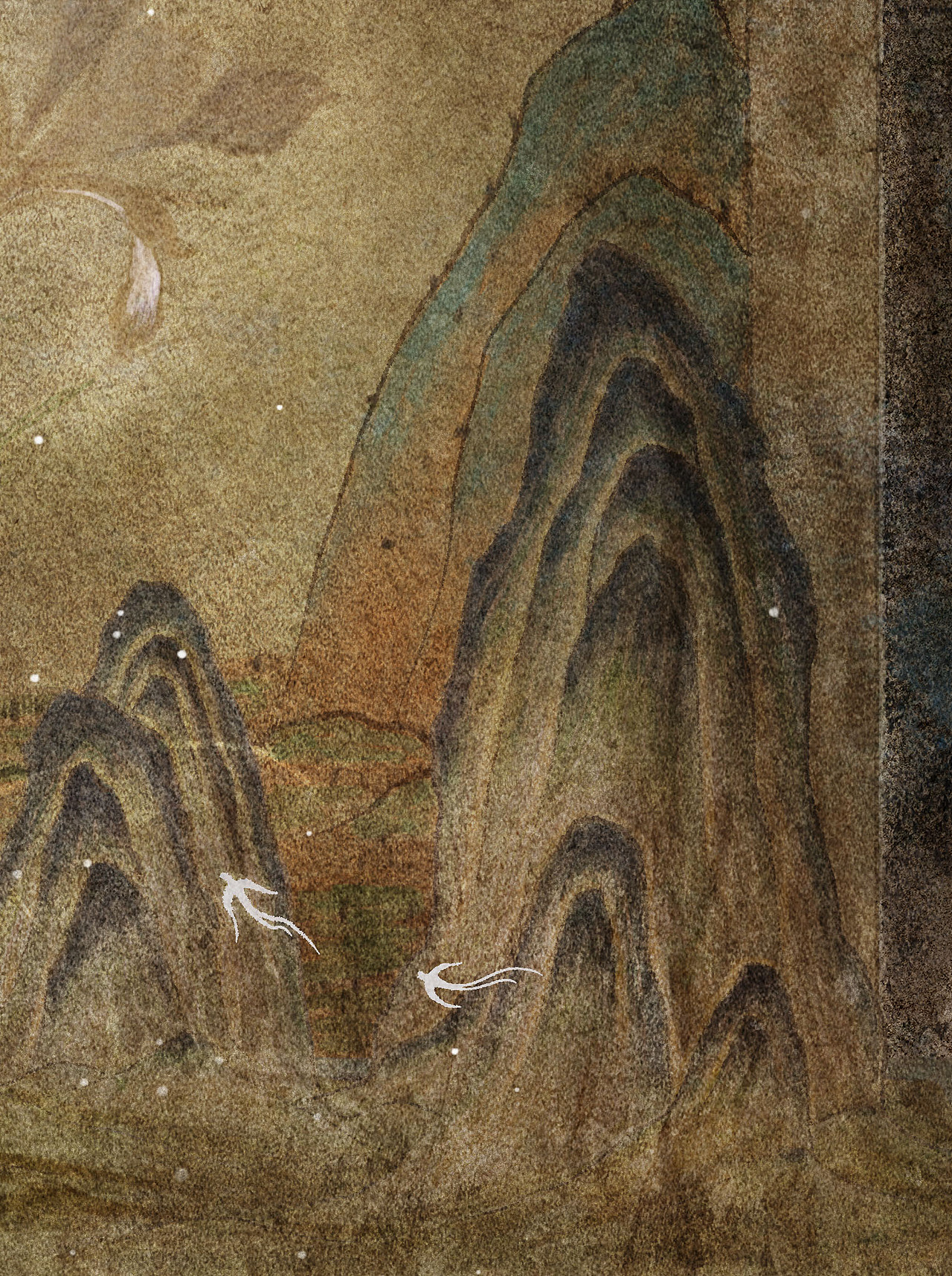 破败房屋的马兰花