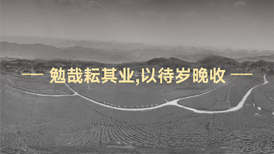 酷客金樽x甲古文创意|以平凡酿非凡 致敬新时代的酷客