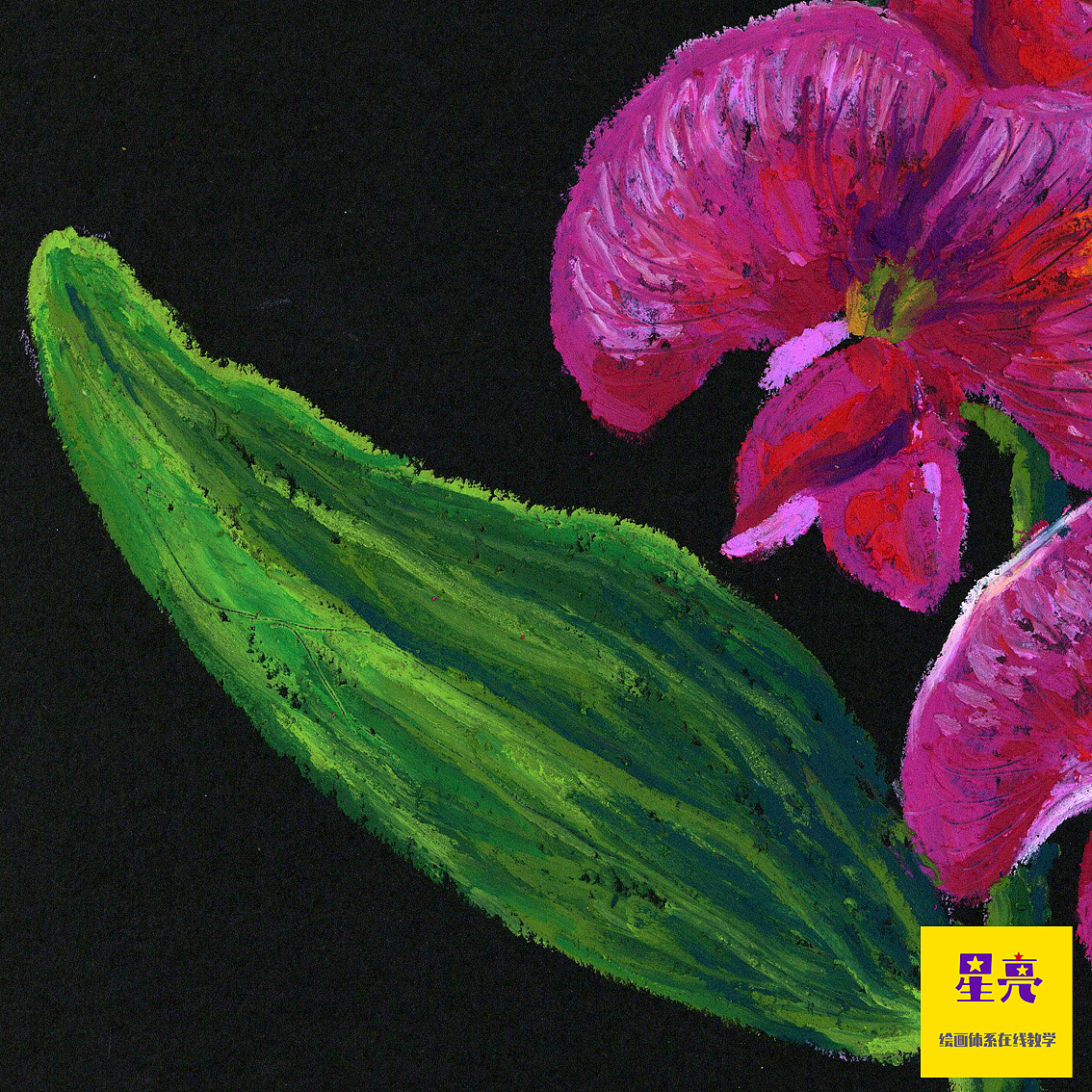 豌豆花绘画（图ZMzIxODU1MDU2） - 绘画 - 站酷设计师星亮绘画art原创素材 - 站酷ZCOOL