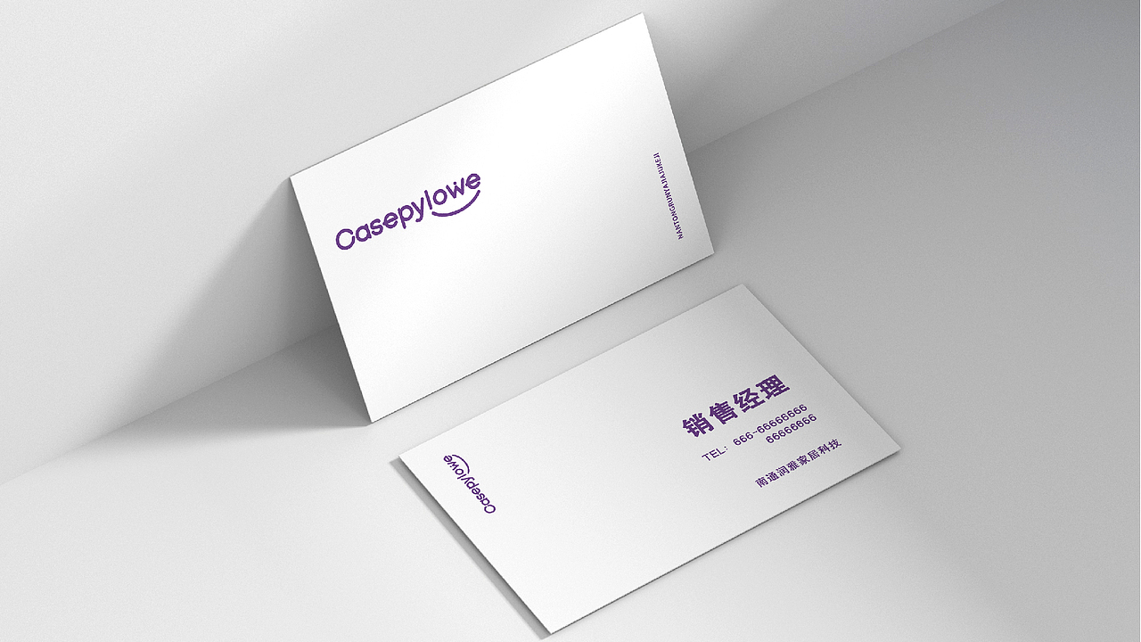 casepylowe logo设计