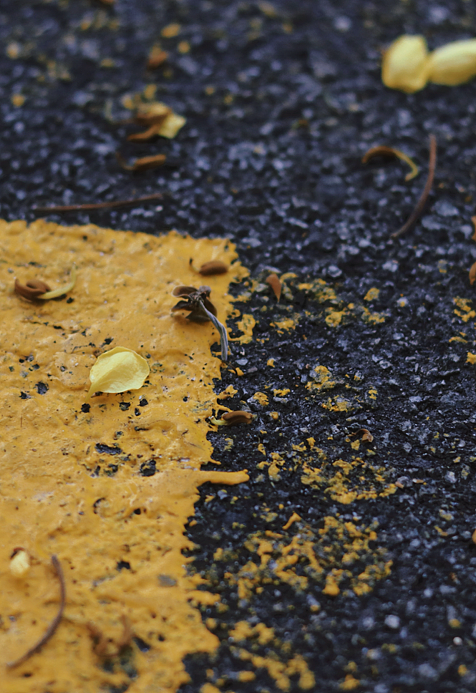 秩序（图ZMzU3MzkwNTcy） - 人文/纪实摄影 - 站酷设计师素和慕灼原创素材 - 站酷ZCOOL