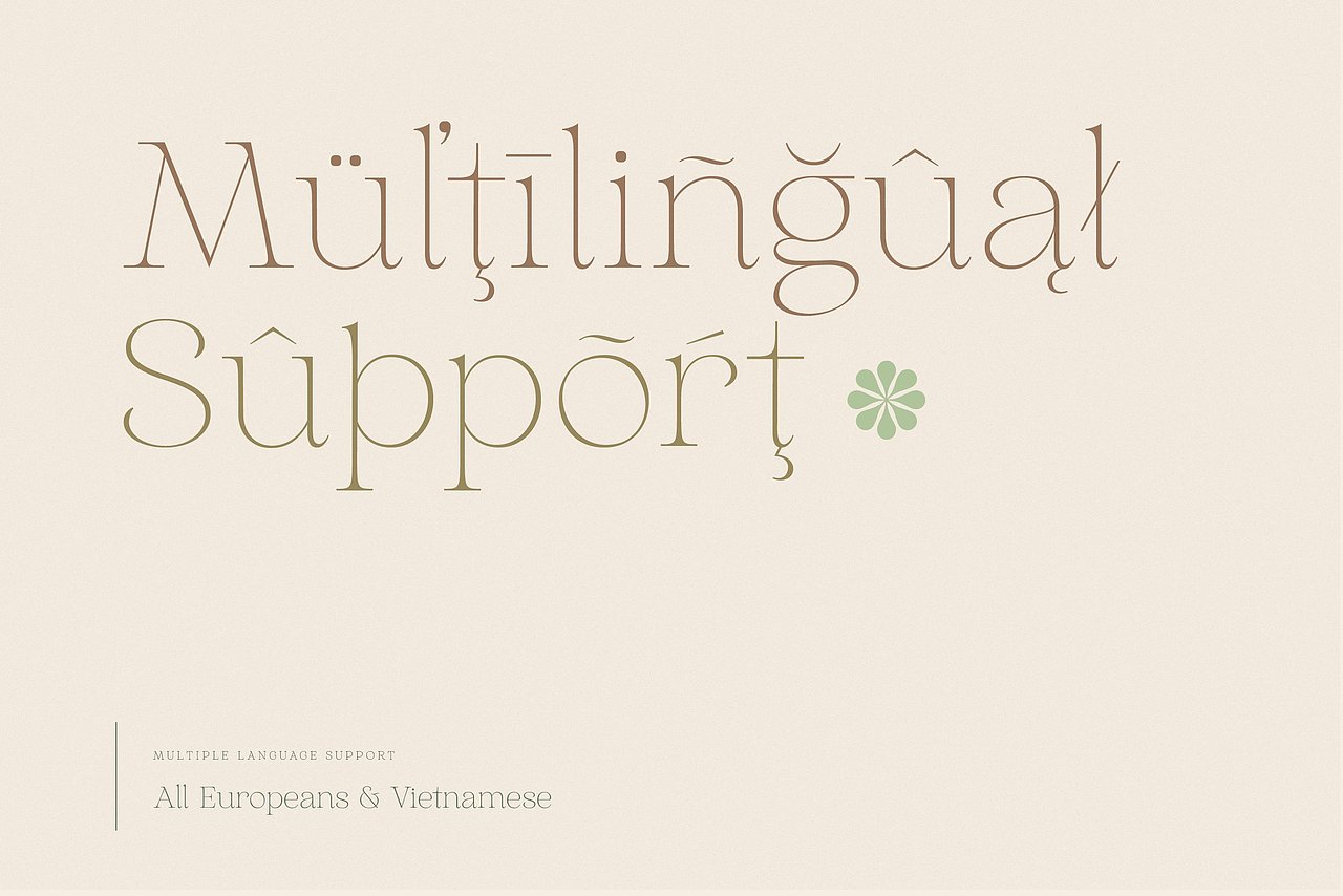 Aurelius - Feminine Chic Serif