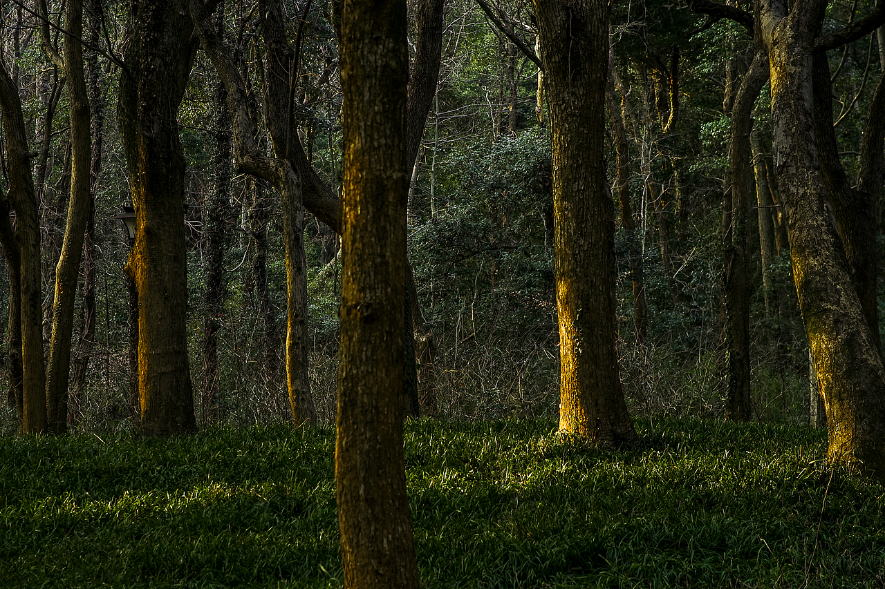 城市风貌系列6（图ZMzYzMTQ2MDky） - 风光摄影 - 站酷设计师莫潘原创素材 - 站酷ZCOOL