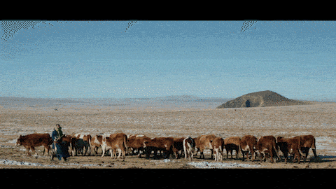 WOUN. x 顺丰速运｜第一公里就是99%