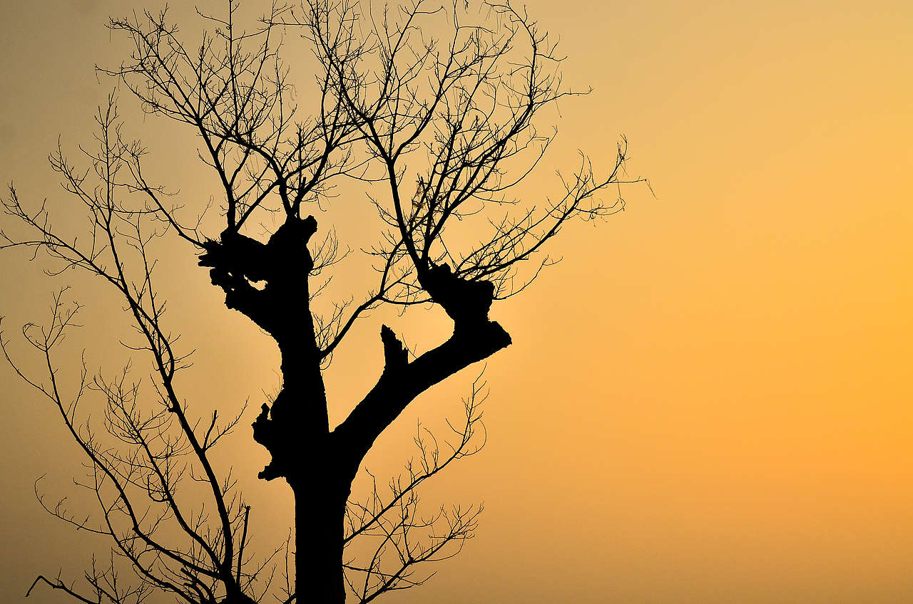 陕西汉中 天汉湿地公园（图ZMzU2MjE5NDAw） - 风光摄影 - 站酷设计师瓢酒慰风尘原创素材 - 站酷ZCOOL