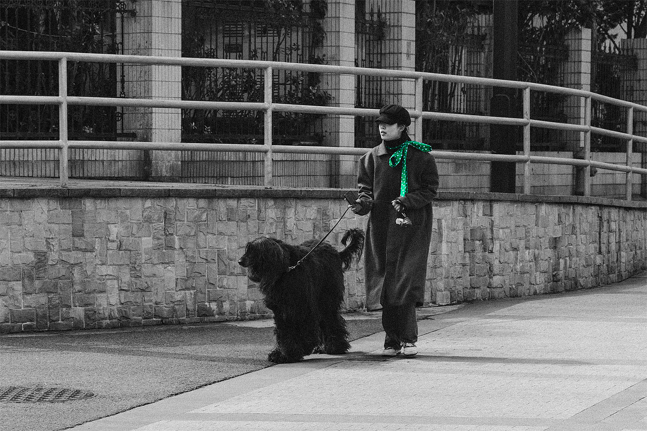 苏州河沿岸（图ZMzYzMzUyNzM2） - 人文/纪实摄影 - 站酷设计师香草秋刀鱼原创素材 - 站酷ZCOOL