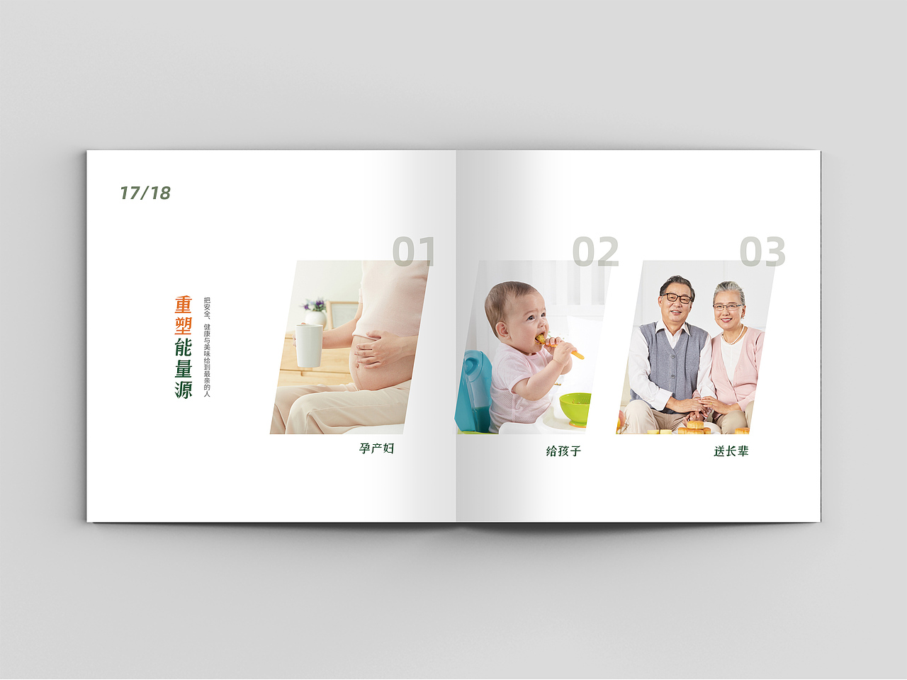 品牌画册 食品画册 企业画册 招商画册 鸡 鸡蛋画册