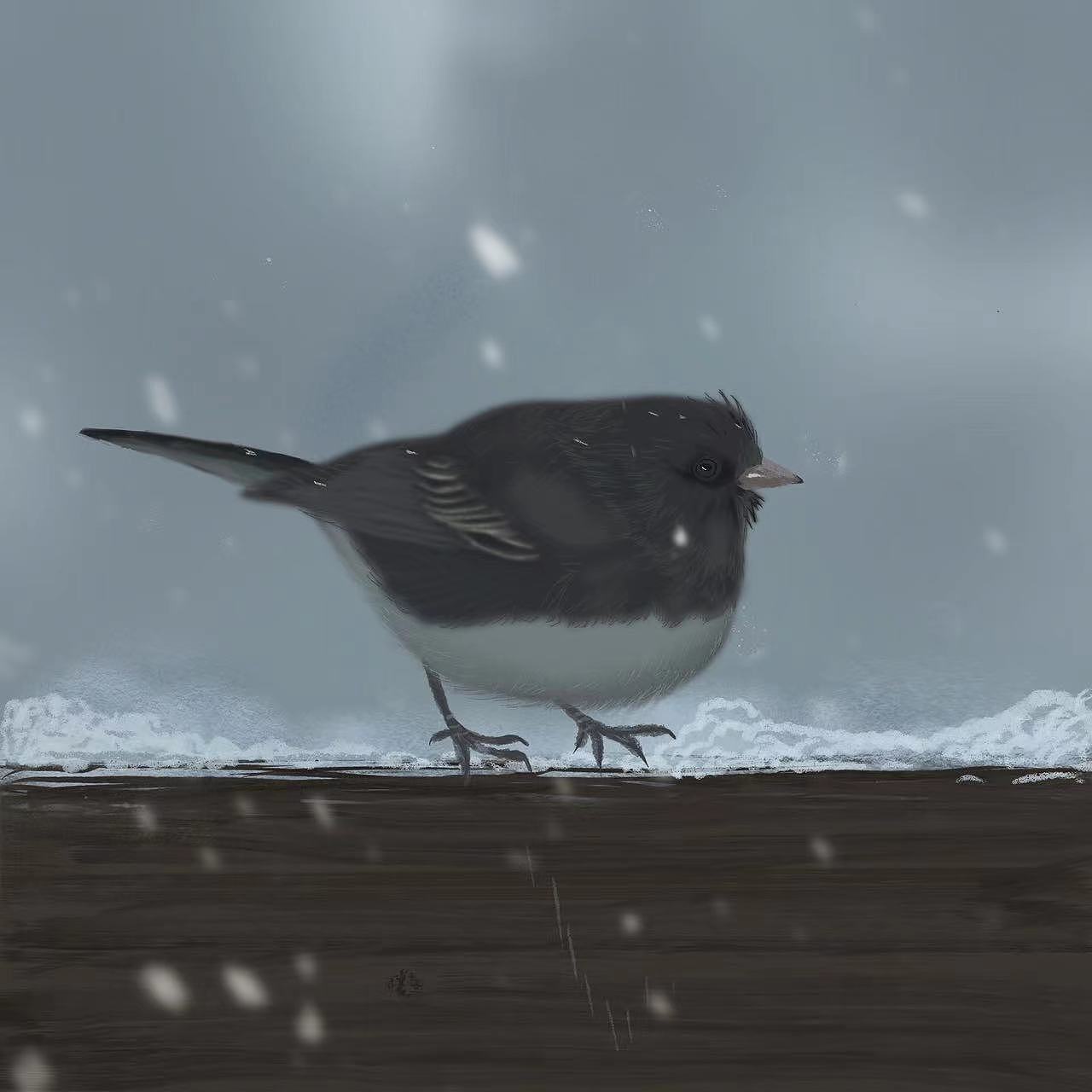 动物质感插画D16