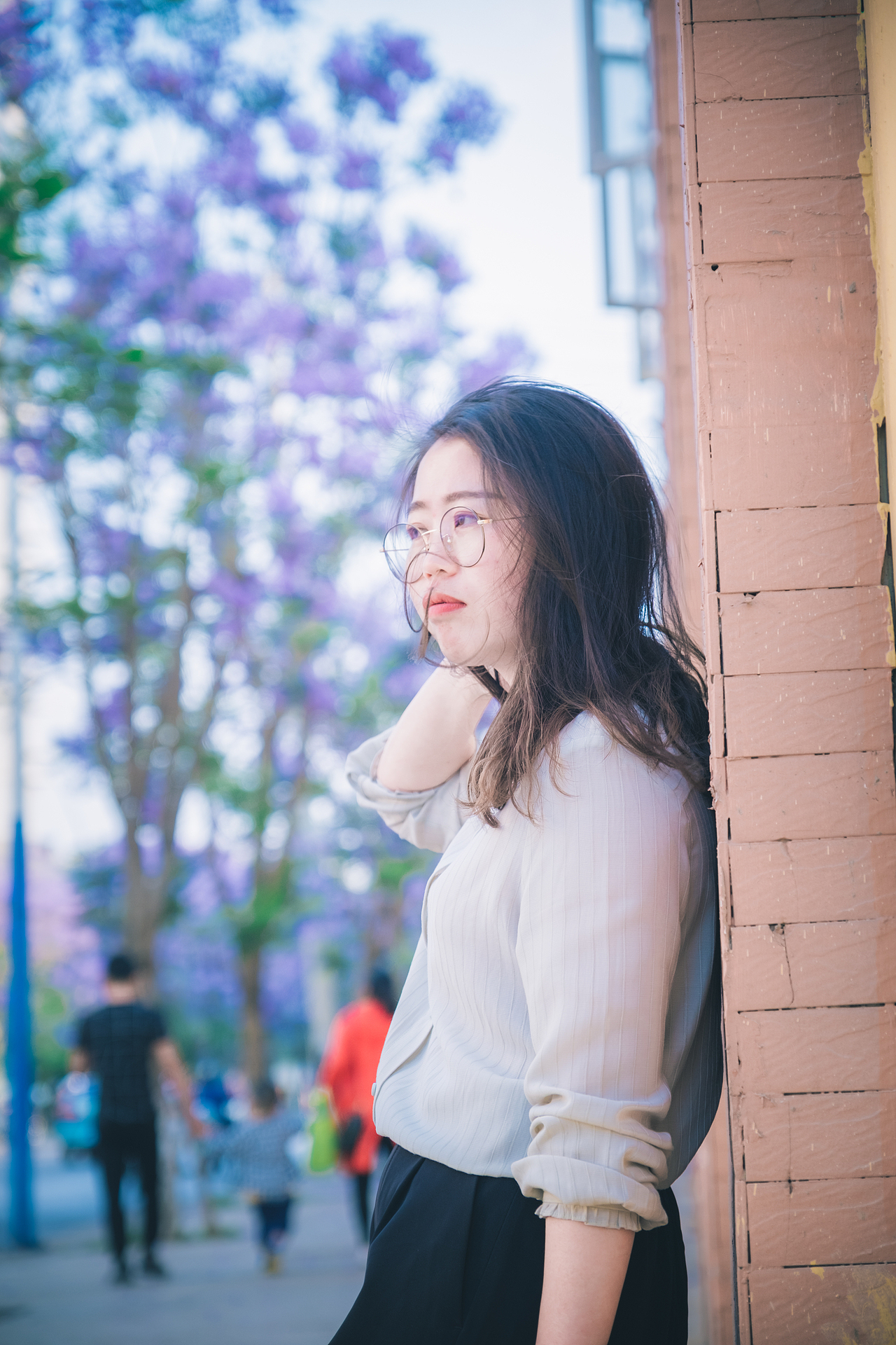 昆明教场中路蓝花楹，原片未裁切