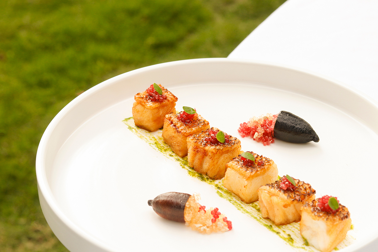 2023 东室 春季菜拍摄