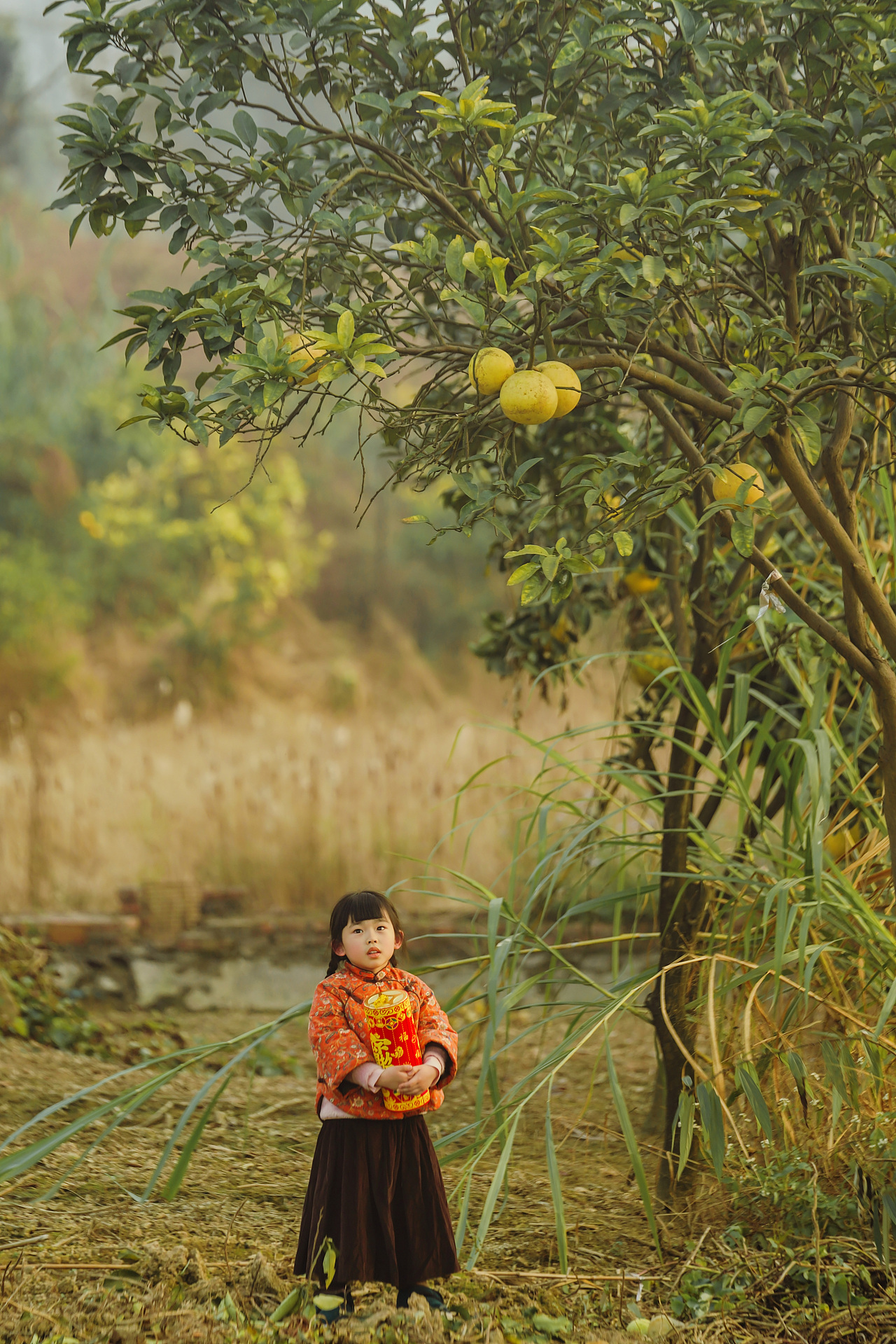 迎新年（图ZMzU5MzAwOTM2） - 人像摄影 - 站酷设计师有田人家原创素材 - 站酷ZCOOL