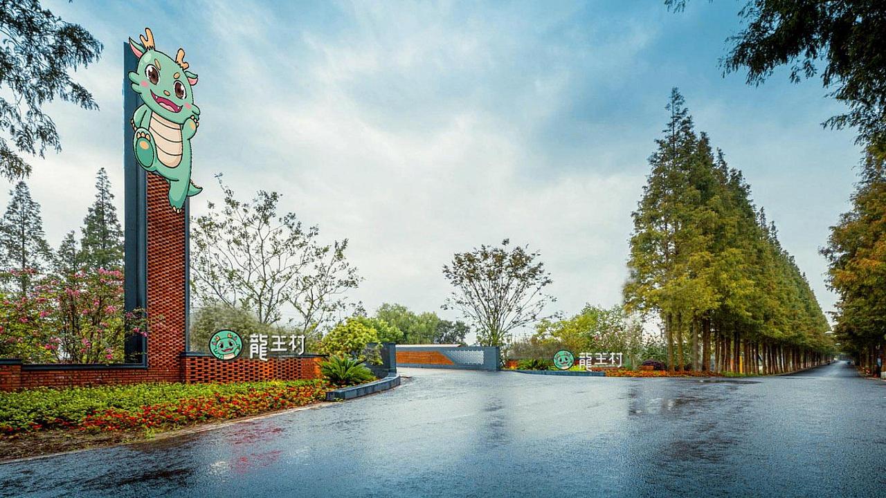 文创|龙王村品牌形象设计案例 IP设计 包装设计