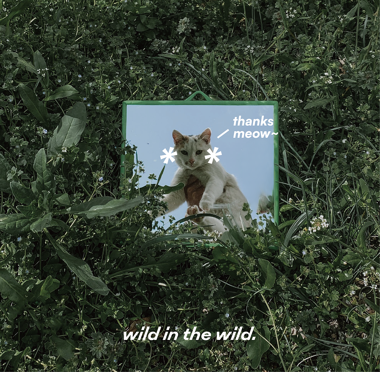 wild wild coffee品牌设计与包装
