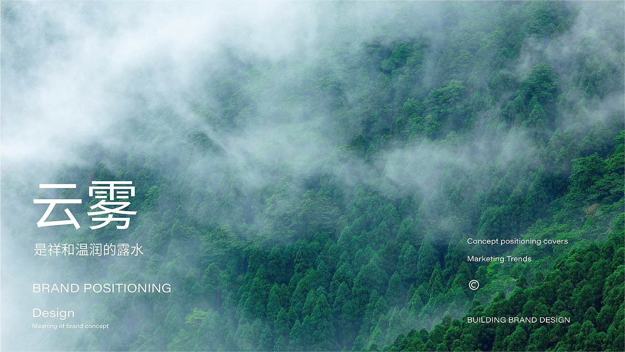 茶叶(品牌)初见叶