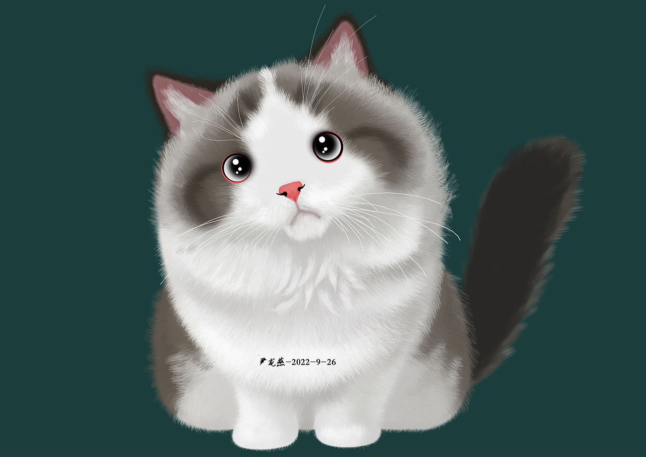 写实布偶猫（图ZMzE3MTk0ODE2） - 创作习作 - 站酷设计师YinLongYan原创素材 - 站酷ZCOOL
