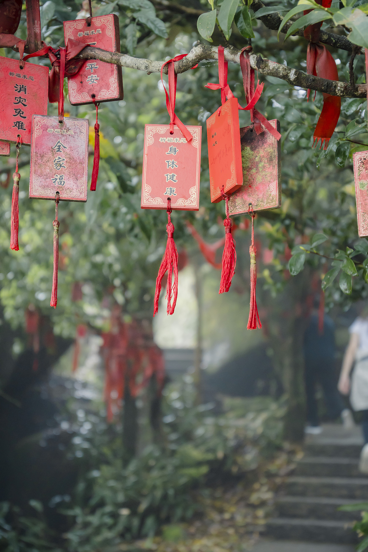 福建泉州游记-市区、惠安、石牛山