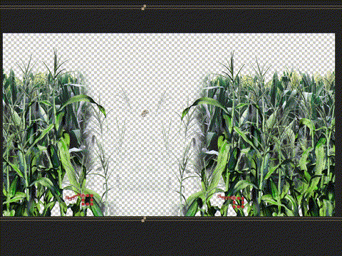 《毕业歌结尾》逐帧拼贴实拍动画——安戈力文化（图ZMzQ2OTc5ODM2） - Motion Graphic - 站酷设计师安戈力原创素材 - 站酷ZCOOL