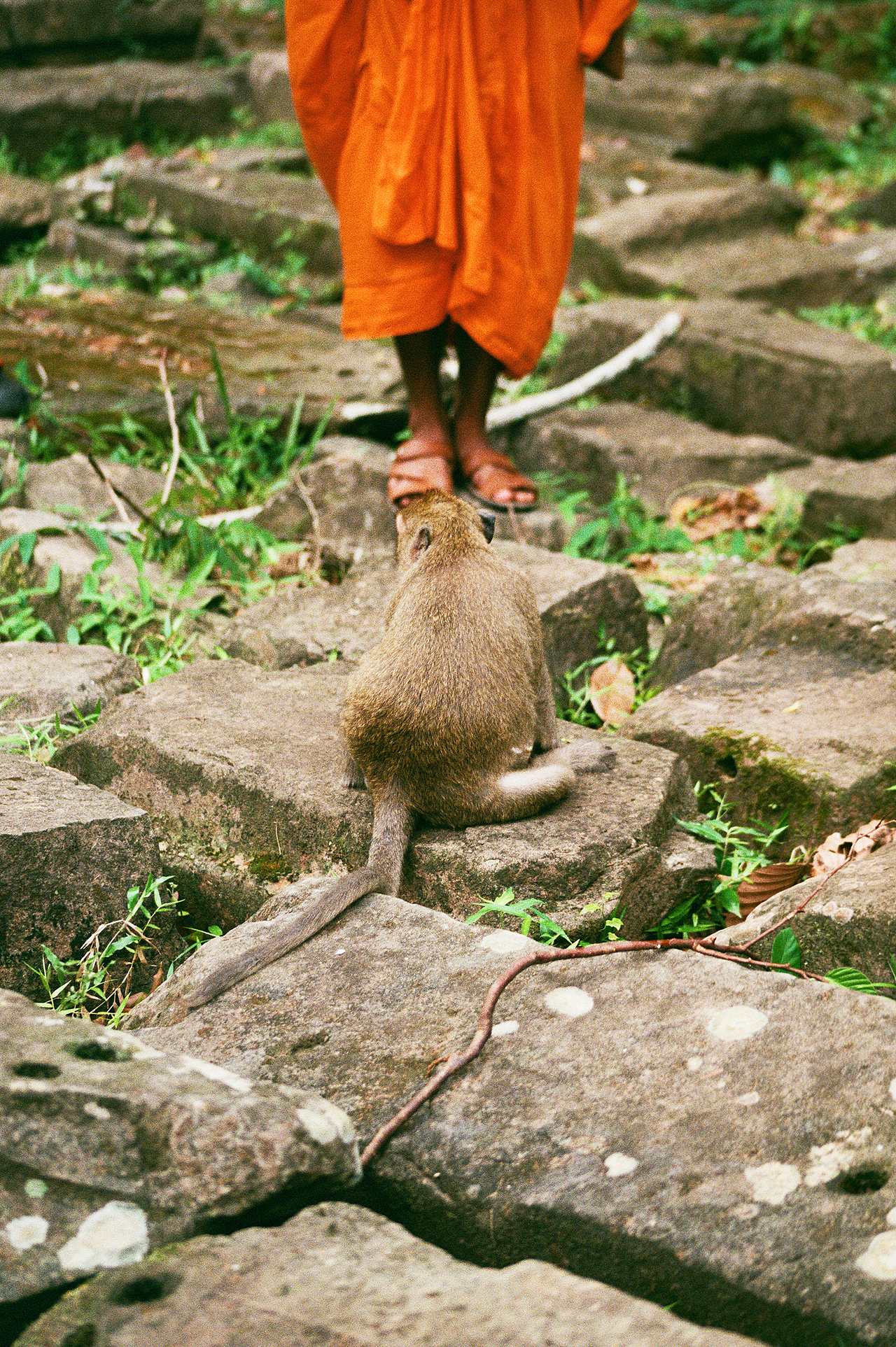 【胶片】暹粒失落的文明