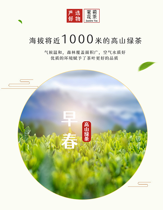 茉莉花拍摄设计一条龙-客户拍摄案例-盗图必究