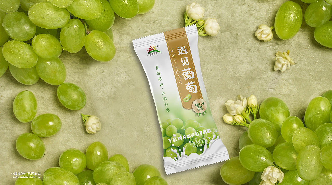 一pai文化 | 雪糕包装【盛源海杰-2023年】（图ZMzI1MTk2MzQ0） - 品牌 - 站酷设计师一兀文化原创素材 - 站酷ZCOOL