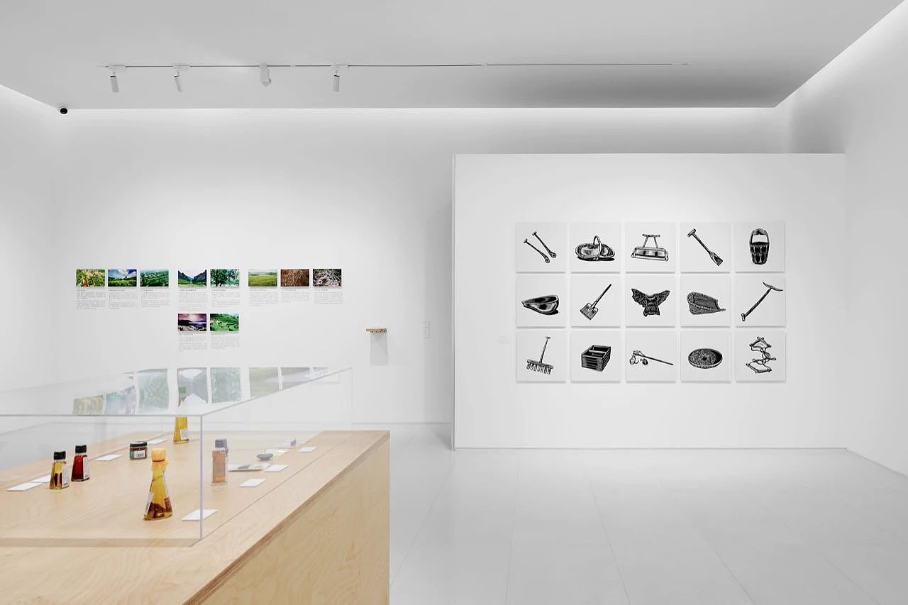 沙洋油菜博物馆