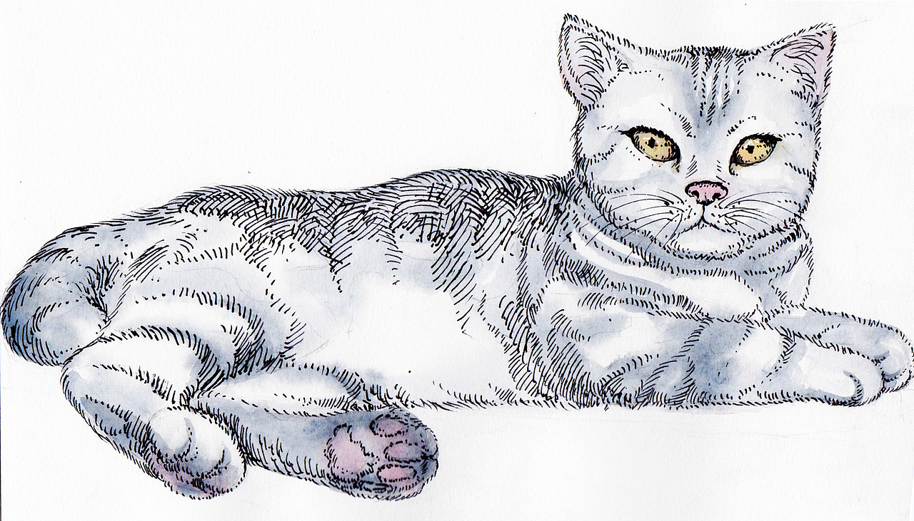 《袁花花與袁爺爺》——與袁花花一起緬懷袁隆平先生（圖ZMzAyMDM2NzY4） - 繪本 - 站酷設(shè)計(jì)師CGnature原創(chuàng)素材 - 站酷ZCOOL