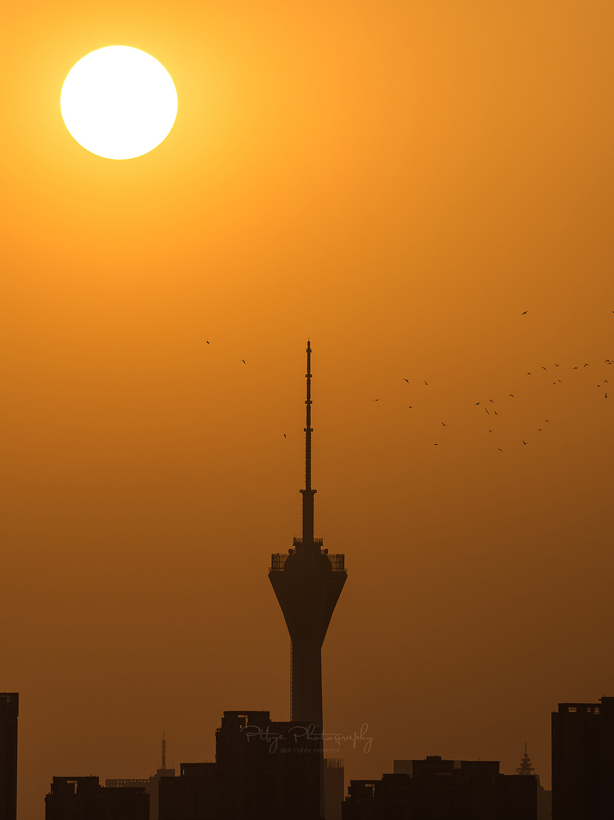 到5月为止的一些蓉城碎片