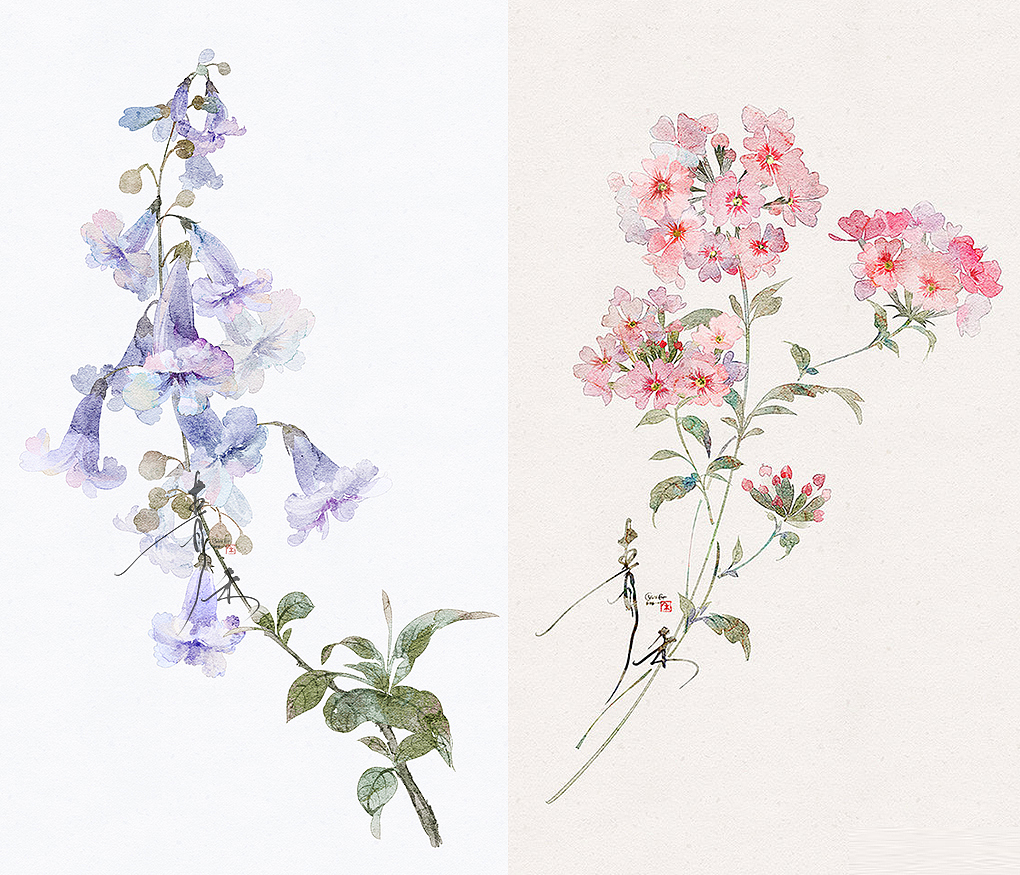 水彩花卉系列图