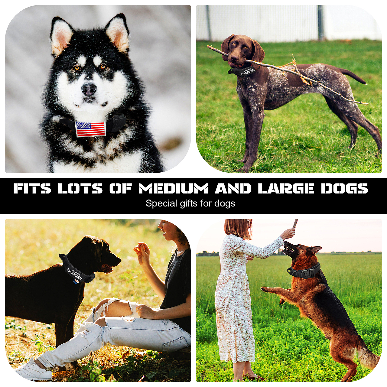 亚马逊 宠物战术项圈