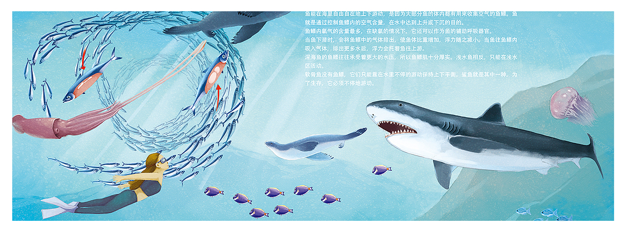 科普海洋地理太空绘本（图ZMzIwODcwMjk2） - 绘本 - 站酷设计师果冻文化工作室原创素材 - 站酷ZCOOL