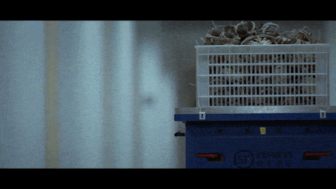 WOUN. x 顺丰速运｜第一公里就是99%